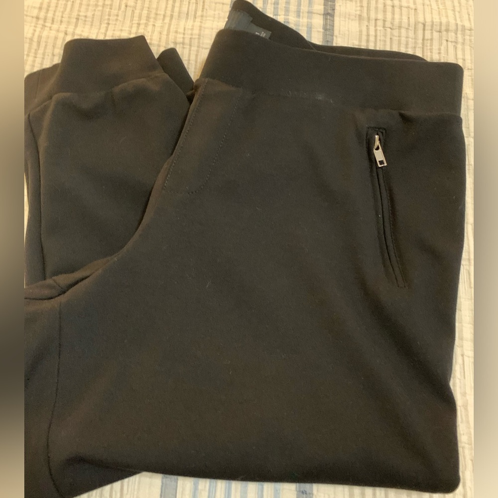 Torrid Jogger Pants